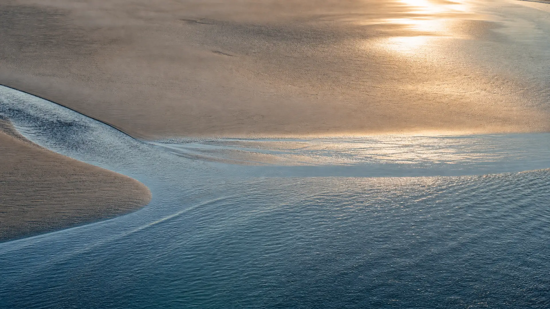 Sunlight catching the tide where it meets the sand.